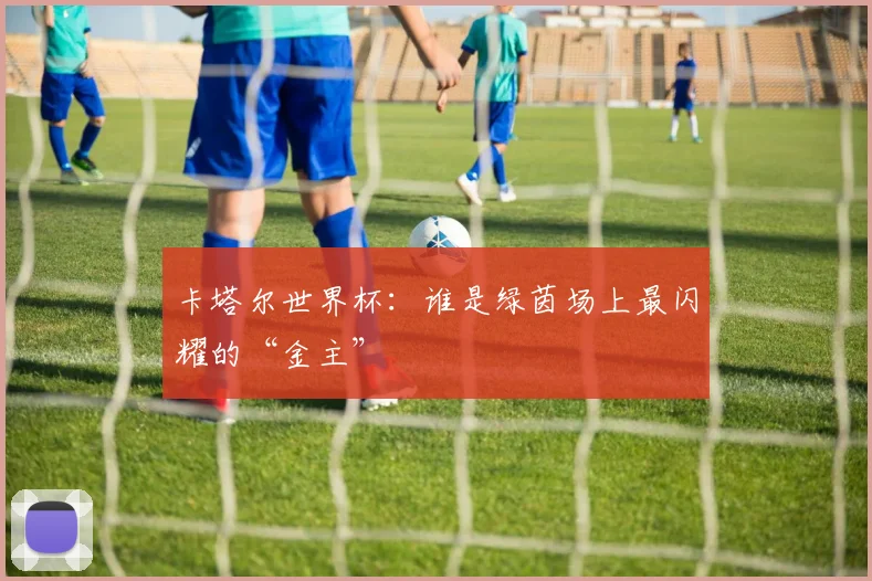 卡塔尔世界杯：谁是绿茵场上最闪耀的“金主”